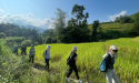 Southeast Asia Summer Holiday Packages Now Open for Bookings: Vibrant Destinations with Personalized Travel Experiences