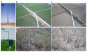 Advancing SIF algorithms: unlocking the dynamics of photosynthesis