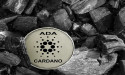 Why did crypto like Cardano, Trump coin, WIF, and Virtuals crash?
