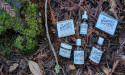  Bearded Coast: Premium Organic Beard Care Products, Elevating Grooming Standards for the Modern Beardsman 