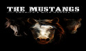  “THE MUSTANGS: AMERICA'S WILD HORSES” IS STREAMING FOR FREE ON PBS 