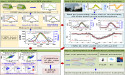  Innovative forest phenology monitoring technology: a new perspective for ecology 