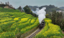 Sichuan Qianwei: Taking a Steam Train to Spring