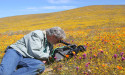 Visionary Filmmaker Louie Schwartzberg to Illuminate Visual Healing at SXSW 2025