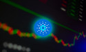 Cardano, LUNC, Pi Network price predictions ahead of Trump crypto summit