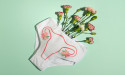 Organic Feminine Care Market Growth with a 6.2% CAGR, Estimated Reach $3.9 Billion by 2031