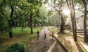 Sri Lanka Named a Top Global Travel Destination for 2025