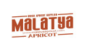 Turkish Dried Apricots Supplier and Exporter Named the one of the Biggest in the Industry