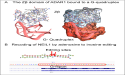 G-Flipons promise to improve the therapeutic efficacy of RNA editing