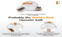 Happy Habitats Secures Patent for Revolutionary Small Pet Exercise Ball: The Roam