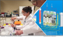 Us Kidney Research Corp Advances Toward Implantable Artificial Kidney