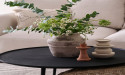  Introducing Ceramic Vases: A Fusion of Artistry and Sustainable Design 