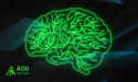 AGII Reinforces Blockchain Integrity with Scalable AI Risk Detection Models