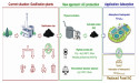 Renewable high-quality activated carbon from low-quality by-product