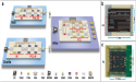 Chip-Integrated Quantum Digital Signature Network Achieves High-Rate Performance