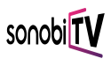 Sonobi Launches Curated CTV Marketplace, Sonobi.TV — Built for Performance and Precision