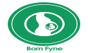  BornFyne Initiative: A Digital Health Solution to Improve Maternal Health Outcomes in Rural Cameroon 