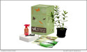 Whimsical Wings Farms Unveils Patented Shipping Box For Live Milkweed Plants And Monarch Butterfly Lifecycle Kit