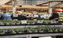 Southern California Gardeners Celebrate at Anawalt's TomatoMania