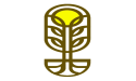 Buscar Company Unveils Transformation to Diversified Holding Company, Reports Robust Asset Growth Amid Gold Price Surges