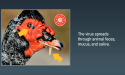 Intertek Alchemy Provides Bird Flu Training Course to Food Industry
