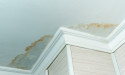 Understanding How Water Damage Can Lead to Structural Issues in Residential Properties