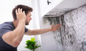 Why DIY Mold Removal Can Be Hazardous and the Value of Professional Remediation Services