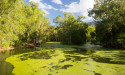  New Louisiana Bayou Experience Combines Seaplane Flight, Airboat Tour, and Cajun Cuisine 