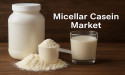 Micellar Casein Market to Exceed USD 1036.5 million by 2035 on Rising Demand for Slow-Digesting Proteins: FMI
