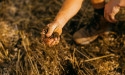 Agreena launches transparency initiative to strengthen trust in soil carbon credit market