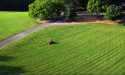 New Exmark Video Breaks Down How to Choose the Right Mower Cut Height
