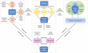 A New Framework for Assessing Climate Risks for Businesses