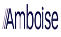Amboise Announces The Formation Of A Concert Ahead Of The Filing Of A Simplified Tender Offer For Altamir Shares