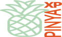 PINYA XP f/k/a Pineapple Express Cannabis Company, Announces Engagement of Independent Auditor for Fiscal Year 2025