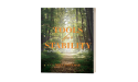 Finding Balance in a Chaotic World: Melva Freeman Offers Hope and Healing in 'Tools for Stability'
