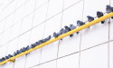 Elite Bird Management Provides Bird Spikes for Effective Property Protection