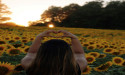 Sunflower Garden is Toronto's first alcohol-free music festival