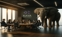 Eleva Launches: A New Operating System for Strategic Clarity