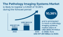 Global Pathology Imaging Systems Market Poised for Robust Growth, Set to Reach USD 2,603.74 Million by 2032