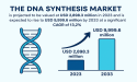 Global DNA Synthesis Market to Surge to USD 9,999.6 Million by 2033, a significant CAGR of 13.2% | FMI