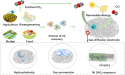  From trash to catalyst: a single-atom strategy for carbon conversion 