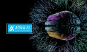 Atua AI Elevates Bitcoin Infrastructure to Enhance AI Workflow Security