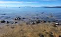 Updates to Short-Term Rental Ordinances in the Lake Tahoe Area