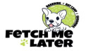 Fetch Me Later Offers Small-Group, Personality-Based Dog Daycare Program in McKinney, TX