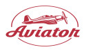 Supreme Court of Georgia Dismisses SPRIBE’s Appeal, Solidifying Aviator LLC’s IP Victory