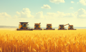 SovEcon raises Russia’s wheat exports outlook, initial campaign may be sluggish