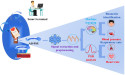 Cardiorespiratory Function Assessment and Biometric Recognition with Intelligent Photonic Wristband
