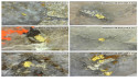 Sitka Intercepts Multiple Occurrences of Visible Gold in First Drill Holes of the Summer Season at Its RC Gold Project, Yukon