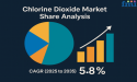 Chlorine Dioxide Market Share Analysis: Robust Growth Driven by Expanding Industrial and Municipal Applications