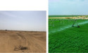 From Challenge to Opportunity: African Food Security’s Somaliland Initiative Reimagines Regional Agriculture